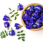Manfaat Bunga Telang untuk Kesehatan: Antara Khasiat Tradisional dan Fakta Ilmiah