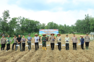 Polres Tubaba Gelar Penanaman Jagung Serentak Dukung Ketahanan Pangan Nasional